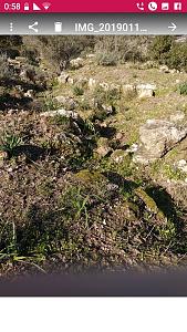 Click image for larger version. 

Name:	1547422486717.jpg 
Views:	220 
Size:	951.3  
ID:	122633