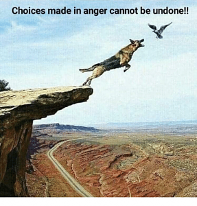 Click image for larger version. 

Name:	choices-made-in-anger-cannot-be-undone-34767693.png 
Views:	344 
Size:	158.8  
ID:	122638