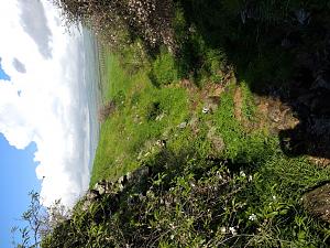 Click image for larger version. 

Name:	2.jpg 
Views:	194 
Size:	298.1  
ID:	122894