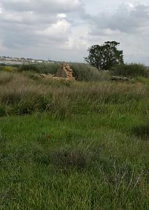Click image for larger version. 

Name:	1550586769856.jpg 
Views:	154 
Size:	569.4  
ID:	122970