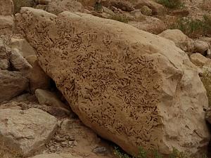 Click image for larger version. 

Name:	1551979335682.jpg 
Views:	147 
Size:	621.7  
ID:	123174