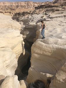 Click image for larger version. 

Name:	IMG_7491.jpg 
Views:	290 
Size:	153.5  
ID:	123821