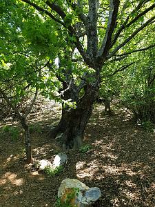 Click image for larger version. 

Name:	20190511_132205.jpg 
Views:	254 
Size:	878.8  
ID:	124155