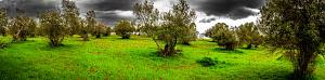 Click image for larger version. 

Name:	DSC01245-Pano1.jpg 
Views:	214 
Size:	58.9  
ID:	127263