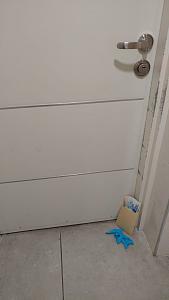 Click image for larger version. 

Name:	KORONA.jpeg 
Views:	262 
Size:	40.1  
ID:	127587