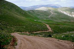 Click image for larger version. 

Name:	DSC04015 (Medium).JPG 
Views:	180 
Size:	390.6  
ID:	127604