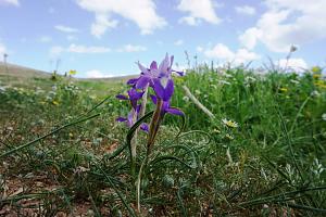 Click image for larger version. 

Name:	DSC04039 (Medium).JPG 
Views:	191 
Size:	262.8  
ID:	127606