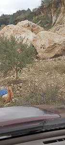 Click image for larger version. 

Name:	20200302_120115_copy_454x1008.jpg 
Views:	215 
Size:	230.9  
ID:	127619