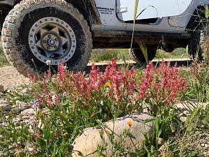 Click image for larger version. 

Name:	IMG_0704.jpg 
Views:	172 
Size:	506.8  
ID:	127642
