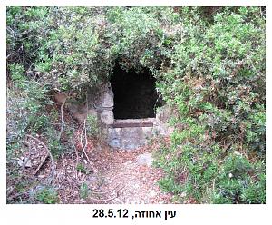 Click image for larger version. 

Name:	2020-03-30 11_39_20-Haifa-nature-site-cards1.pdf - Adobe Acrobat Reader DC.jpg 
Views:	170 
Size:	118.5  
ID:	128224