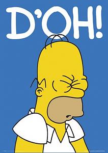 Click image for larger version. 

Name:	homer-simpson-doh.jpg 
Views:	213 
Size:	19.8  
ID:	128600