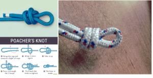 Click image for larger version. 

Name:	5_1.jpg 
Views:	112 
Size:	133.1  
ID:	129521