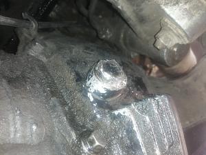 Click image for larger version. 

Name:	IMG_20200604_130551.jpg 
Views:	241 
Size:	813.0  
ID:	129556