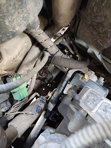 Click image for larger version. 

Name:	pic1.jpeg 
Views:	179 
Size:	192.7  
ID:	129587
