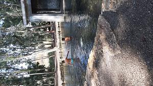 Click image for larger version. 

Name:	IMG-20200722-WA0018.jpg 
Views:	217 
Size:	1.01 MB 
ID:	130374