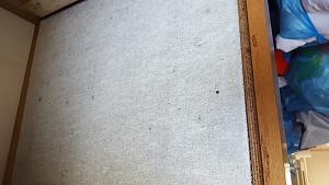 Click image for larger version. 

Name:	20200819_121727.jpg 
Views:	228 
Size:	577.1  
ID:	130555