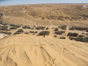 Click image for larger version. 

Name:	resized-IMG_1526.JPG 
Views:	180 
Size:	104.9  
ID:	132541