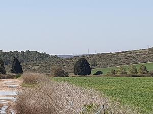 Click image for larger version. 

Name:	.jpg 
Views:	178 
Size:	249.2  
ID:	132551