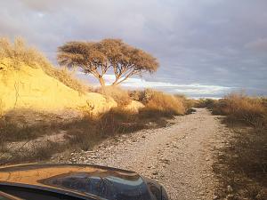 Click image for larger version. 

Name:	IMG-20210220-WA0025.jpg 
Views:	147 
Size:	258.2  
ID:	133071