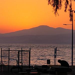 Click image for larger version. 

Name:	20210825_190411.jpg 
Views:	167 
Size:	61.2  
ID:	134966