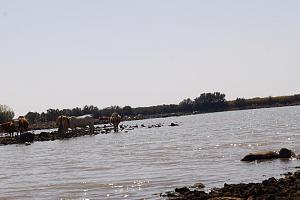 Click image for larger version. 

Name:	DSC05755 (Medium).JPG 
Views:	136 
Size:	189.8  
ID:	135720