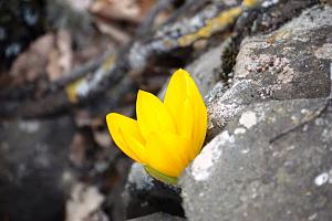 Click image for larger version. 

Name:	DSC05783 (Medium).JPG 
Views:	138 
Size:	201.6  
ID:	135723