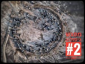 Click image for larger version. 

Name:	Jeepolog_2021.jpeg 
Views:	198 
Size:	561.5  
ID:	136627