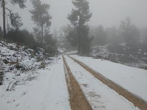 Click image for larger version. 

Name:	IMG_20220127_124530 (Medium).jpg 
Views:	151 
Size:	168.6  
ID:	137122