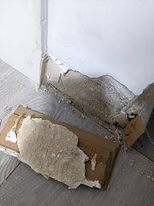Click image for larger version. 

Name:	PXL_20220322_170956463.jpg 
Views:	110 
Size:	76.2  
ID:	137671