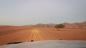 Click image for larger version. 

Name:	IMG_20201208_195208.jpg 
Views:	156 
Size:	238.7  
ID:	137818