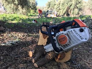 Click image for larger version. 

Name:	stihl ms192T.jpg 
Views:	88 
Size:	213.8  
ID:	137853