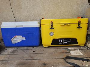 Click image for larger version. 

Name:	IMG-20220501-WA0002.jpg 
Views:	142 
Size:	206.7  
ID:	138059