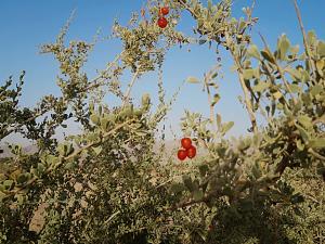Click image for larger version. 

Name:	IMG-20220530-WA0024.jpg 
Views:	128 
Size:	287.8  
ID:	138503