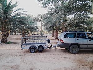 Click image for larger version. 

Name:	0_IMG-20220607-WA0018.jpg 
Views:	238 
Size:	318.7  
ID:	138560