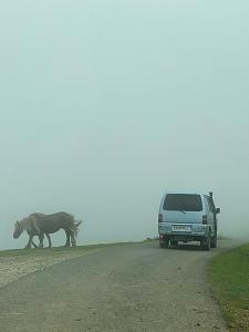 Click image for larger version. 

Name:	LWMD8944.JPG 
Views:	153 
Size:	52.8  
ID:	139039