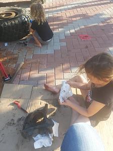 Click image for larger version. 

Name:	20220628_181152.jpg 
Views:	128 
Size:	85.4  
ID:	139127