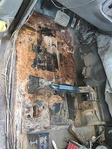 Click image for larger version. 

Name:	IMG_20220712_074715_copy_600x800.jpg 
Views:	149 
Size:	280.5  
ID:	139225