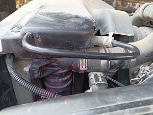 Click image for larger version. 

Name:	l11.jpg 
Views:	112 
Size:	109.1  
ID:	139593