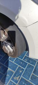 Click image for larger version. 

Name:	photo_2022-09-06_13-50-42.jpg 
Views:	289 
Size:	130.8  
ID:	139960