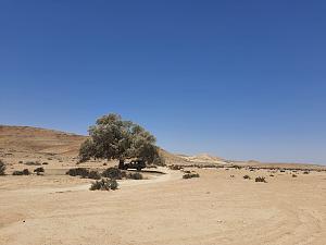Click image for larger version. 

Name:	IMG-20220930-WA0000.jpg 
Views:	133 
Size:	144.7  
ID:	140288