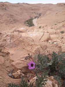 Click image for larger version. 

Name:	20230215_135318.jpg 
Views:	339 
Size:	82.3  
ID:	142579