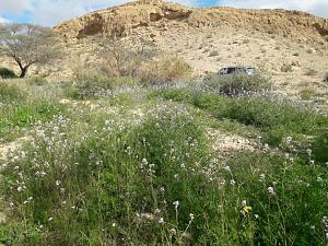 Click image for larger version. 

Name:	20230215_134646.jpg 
Views:	329 
Size:	179.1  
ID:	142580
