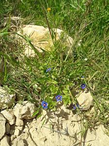 Click image for larger version. 

Name:	20230215_134719.jpg 
Views:	350 
Size:	158.4  
ID:	142581