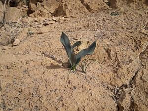 Click image for larger version. 

Name:	20230215_135053.jpg 
Views:	341 
Size:	158.8  
ID:	142583