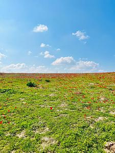 Click image for larger version. 

Name:	4b88bf0c-00a5-4baf-80be-33d56aeb2b70.jpeg 
Views:	127 
Size:	446.7  
ID:	142731