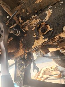 Click image for larger version. 

Name:	20230226_135905.jpg 
Views:	101 
Size:	103.2  
ID:	142746
