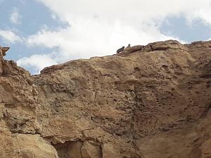 Click image for larger version. 

Name:	20230313_142302.jpg 
Views:	164 
Size:	79.4  
ID:	142849