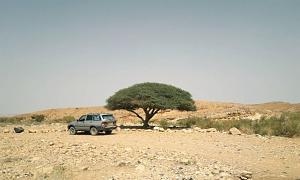Click image for larger version. 

Name:	20230517_165403.jpg 
Views:	144 
Size:	54.2  
ID:	143612