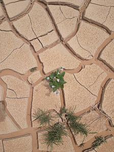 Click image for larger version. 

Name:	20230526_110019~3.jpg 
Views:	308 
Size:	99.8  
ID:	143727