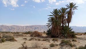 Click image for larger version. 

Name:	IMG_20240113_092049.jpg 
Views:	83 
Size:	401.4  
ID:	145761